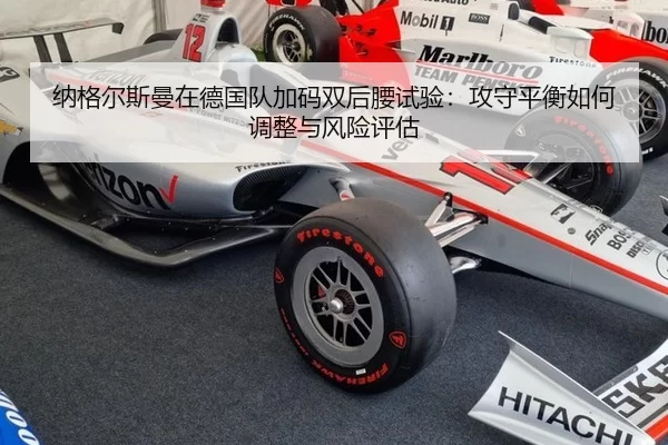 na-ge-er-si-man-zai-de-guo-dui-jia-ma-shuang-hou-yao-shi-yan-gong-shou-ping-heng-ru-he-tiao-zheng-yu-feng-xian-ping-gu-2-783.jpg